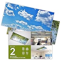 OCTO LIGHTS Fluorescent Light Covers for Classroom Office - Eliminate Harsh Glare Causing Eyestrain and Headaches. Office & Classroom Decorations Cloud + Tree 2 Pack