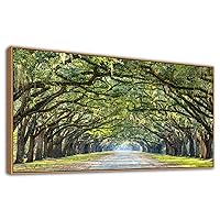 Framed Wall Art Canvas Green Forest Canvas Pictures Oak Trees Covered Lane Canvas Art Print Green Nature Landscape Canvas Artwork Oak Trees Lined Road at Georgia, Natural Framed, 24