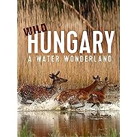 Wild Hungary - A Water Wonderland