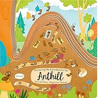 Discovering the Active World of the Anthill (Happy Fox Books) Board Book Teaches Kids Ages 3-6 about Ants, Digging More Deeply into a Hill with Every Page Turn - Fun Facts, Vocabulary Words, and More