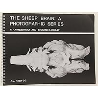The Sheep Brain: A Photographic Series The Sheep Brain: A Photographic Series Spiral-bound