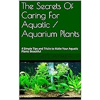 The Secrets Of Caring For Aquatic / Aquarium Plants: 4 Simple Tips and Tricks to Make Your Aquatic Plants Beautiful