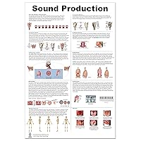 Sound Production Anatomy Poster 24x36inch, Waterproof-vocal Folds-intrinsic Muscles-phonation-resonance