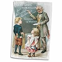 3dRose Perry Davis Pain Killers Teacher and Children - Towels (twl-169867-1)