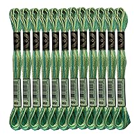 Magical Color Variegated Cross Stitch Thread Color Variations Embroidery Floss Pack, 8.7-Yard, Roaming Pastures, Pack of 12 Skeins