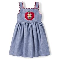 Gymboree girls Toddler Embroidered Sleeveless Skirtall Jumpers,Apple Chambray,6