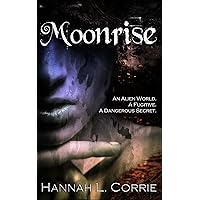 Moonrise: a Gay Sci-Fi Adventure