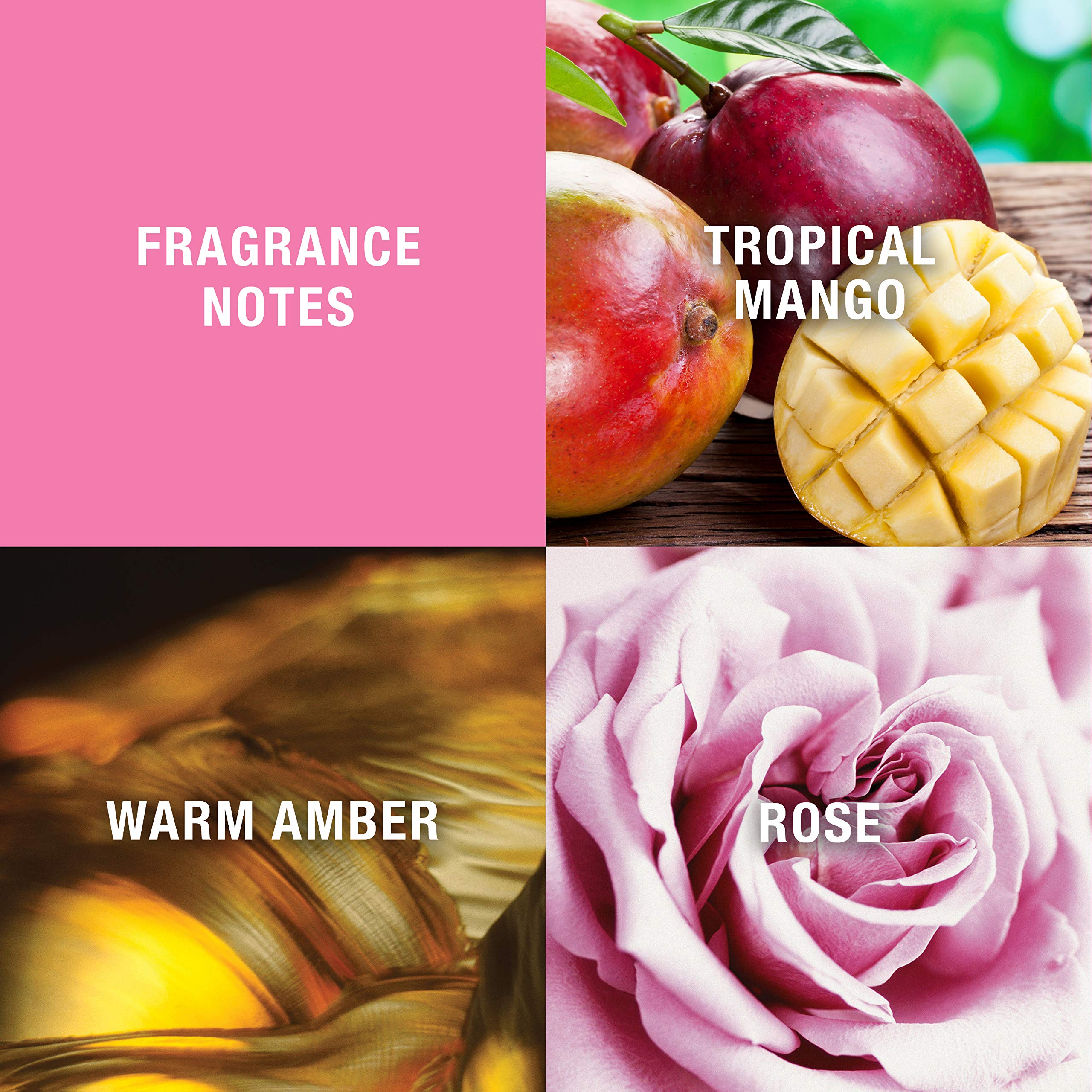 Ed Hardy Women's Perfume Fragrance by Christian Audigier, Eau De Parfum, 3.4 Fl Oz