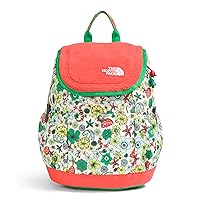 THE NORTH FACE Teen Mini Explorer Backpack, White Dune Desert Camping Print/Radiant Orange/Optic Emerald, One Size
