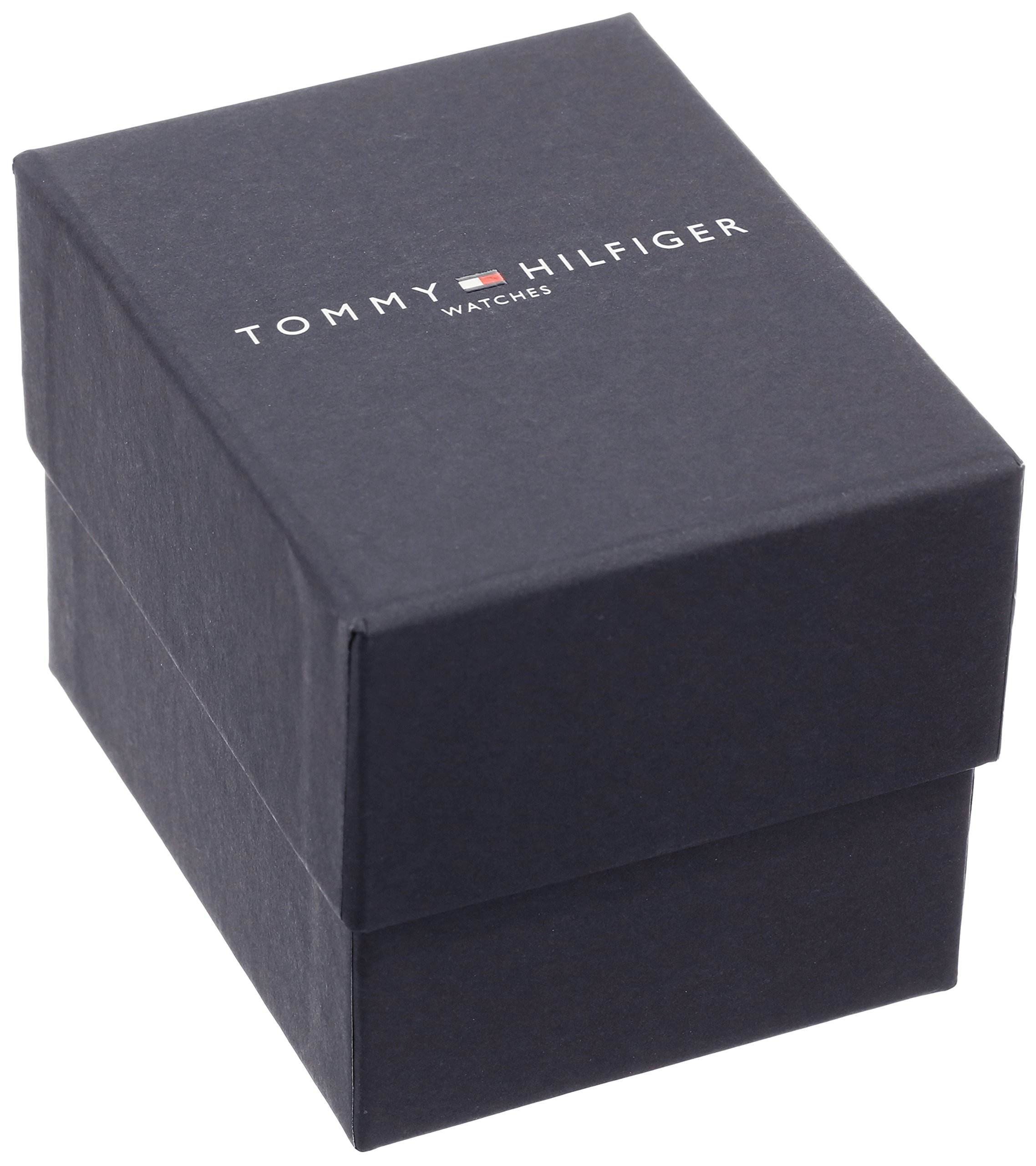 Tommy Hilfiger Men's Quartz Stainless Steel Case and Leather Strap, Brown (Model: 1791066)