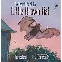 The Secret Life of the Little Brown Bat The Secret Life of the Little Brown Bat Hardcover Kindle
