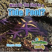 What Do You Find in a Tide Pool? (Ecosystems Close-Up) What Do You Find in a Tide Pool? (Ecosystems Close-Up) Paperback Hardcover