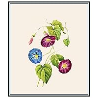 Orenco Originals Redoute's Morning Glory Flowers Counted Cross Stitch Pattern