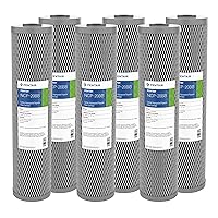 Pentair Pentek NCP-20BB Big Blue Carbon Water Filter, 20-Inch, Whole House Non-Cellulose Carbon Impregnated Pleated Filter Cartridge, 20