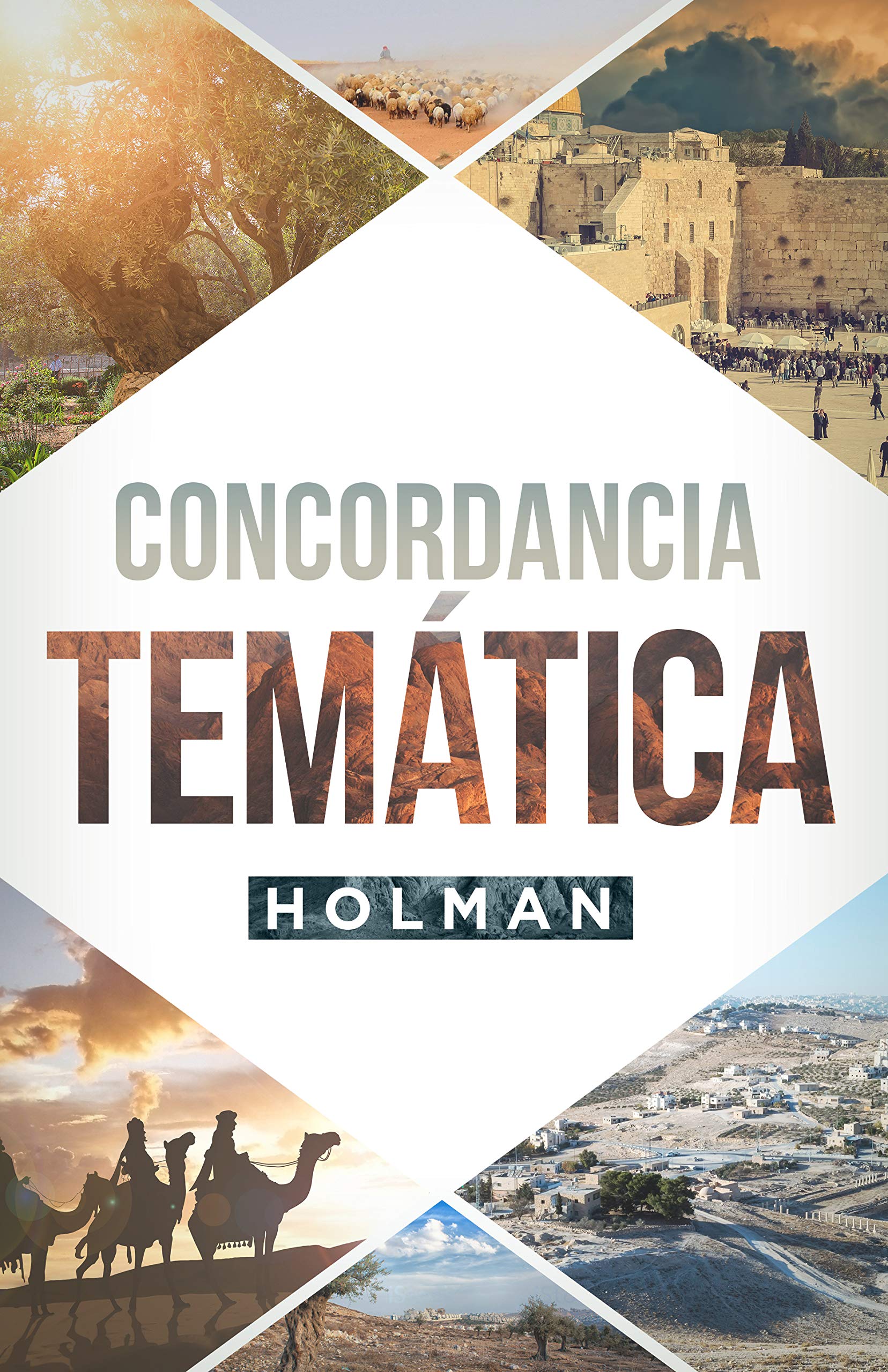 Concordancia Temática Holman | Holman Concise Topical Concordance (Spanish Edition)