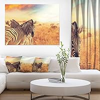 Zebras Herd in Field At Sunset Extra Large African Canvas Art Print