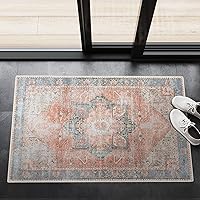 Machine Washable 2x3 Area Rug with Non Slip Backing for Living Room, Bedroom, Bathroom, Kitchen, Printed Vintage Home Decor, Floor Decoration Carpet Mat (Multi, 2' x 3')