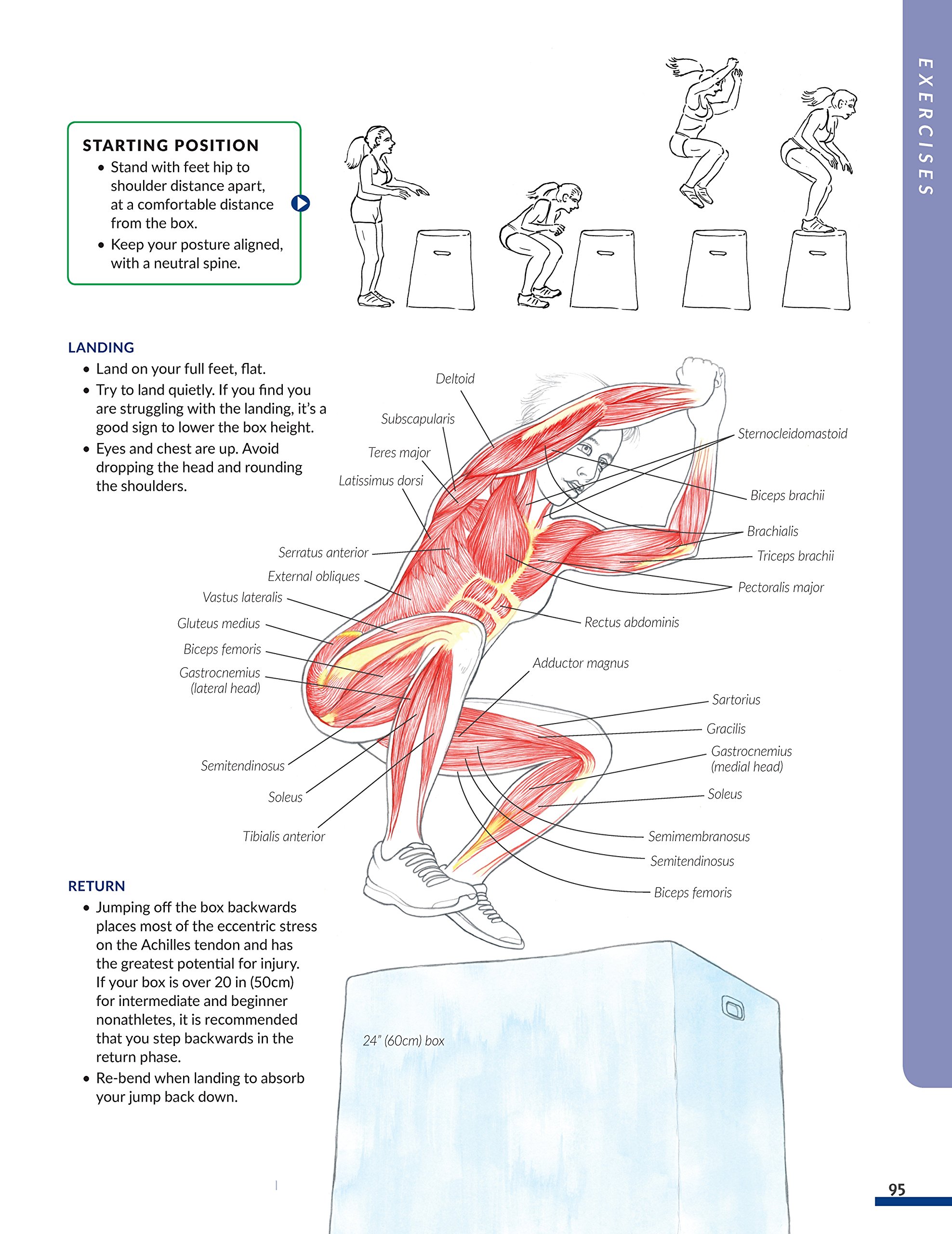 New Anatomy for Strength & Fitness Training: An Illustrated Guide to Your Muscles in Action Including Exercises Used in CrossFit (R), P90X (R), and Other Popular Fitness Programs (IMM Lifestyle Books)