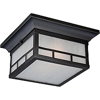 Nuvo Lighting 60/5606 Drexel Flush 2 Light 60-watt A19 Outdoor Close to Ceiling Porch and Patio Lighting with Frosted Seed Glass, Stone Black