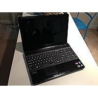 VAIO VPC-EE31FX/BJ 15.5-Inch Laptop (Black)
