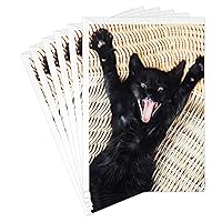Hallmark Pack of Funny Birthday Cards, Excited Cat (6 Birthday Cards with Envelopes)