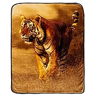 Northwest Savanna Tiger Oversized Raschel Throw Blanket, 60