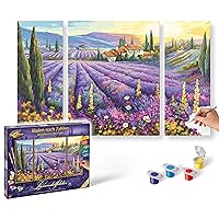 NORRIS Paint by#S: Lavender Fields (Tryptych) Paint by#
