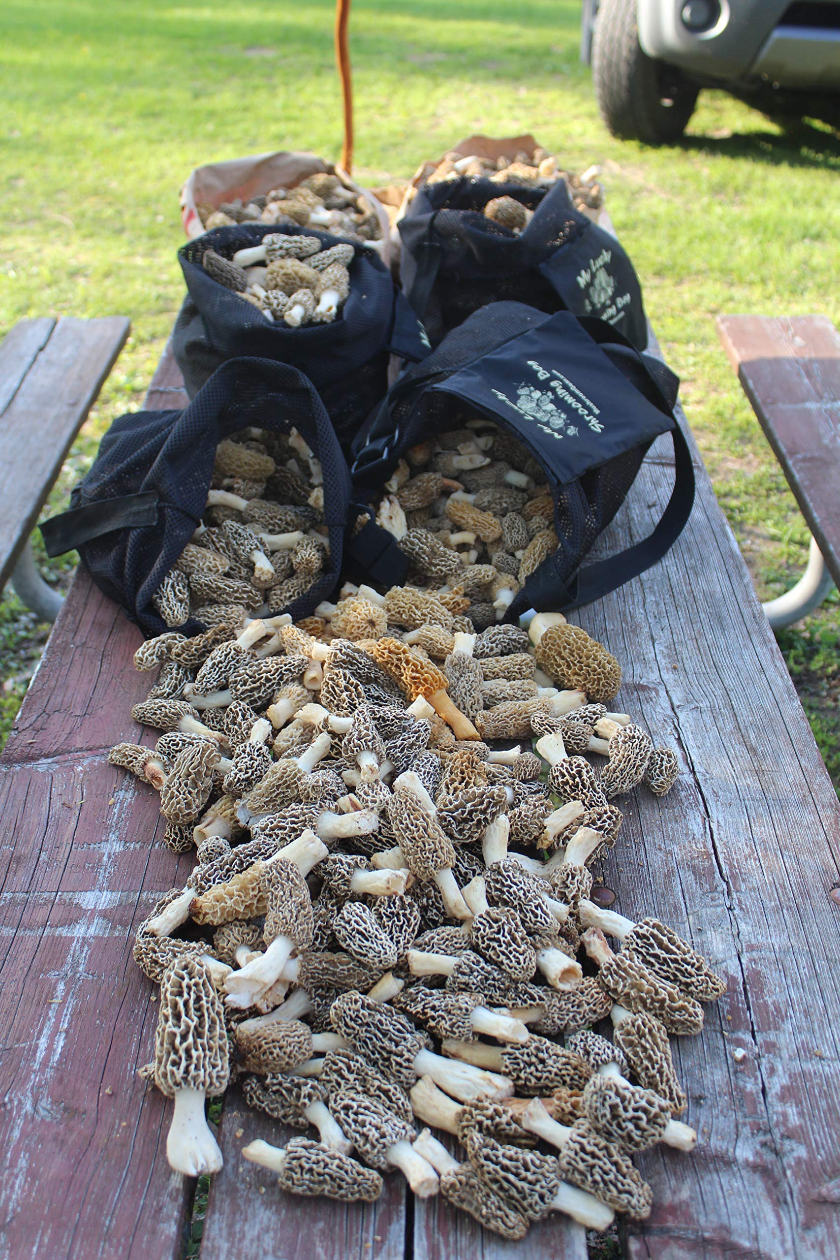 Morel Mushroom Hunting Bag. Made in USA