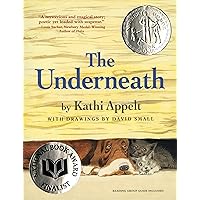 The Underneath The Underneath Paperback Audible Audiobook Kindle Hardcover Audio CD