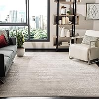 SAFAVIEH Adirondack Collection Area Rug - 6' x 9', Ivory & Silver, Modern Ombre Design, Non-Shedding & Easy Care, Ideal for High Traffic Areas in Living Room, Bedroom (ADR113B)