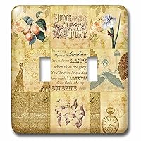 3dRose lsp_79374_2 Vintage Gold Collage of Art with Apricots and You are My Sunshine Double Toggle Switch
