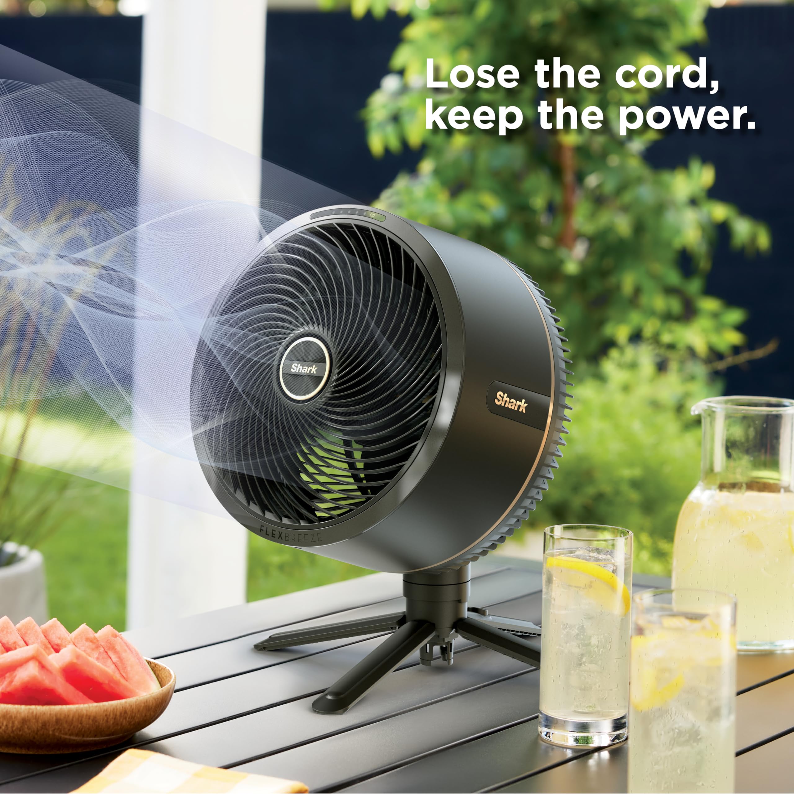 Shark FlexBreeze Pedestal & Tabletop, Indoor & Outdoor, Portable, Oscillating Fan with Remote, Quiet, Powerful, Corded & Cordless with InstaCool Misting Attachment, FA222