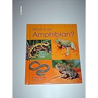 What Is an Amphibian? (Pebble Books) What Is an Amphibian? (Pebble Books) Library Binding Paperback Mass Market Paperback