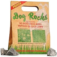 Dog Rocks Dog Pee Grass Neutralizer for Green Grass in 3-5 Weeks | Dog Grass Saver Rock | 100% Natural Urine Neutralizer for Lawn, Grass and Hedges | 600 grams