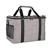 Amazon Basics Collapsible Waterproof Lightweight Insulated Cooler, 50 Can Capacity, Grey