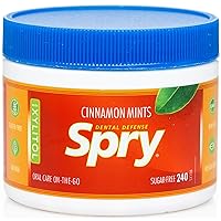 Xylitol Cinnamon Mints Sugar Free Candy - Breath Mints That Promote Oral Health, Dry Mouth Mints That Increase Saliva Production, Stop Bad Breath, 240 Count (Pack of 1)