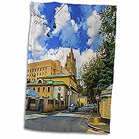 3dRose Artistic Moscow - Historic District of City in Summer - Towels (twl-272407-1)
