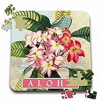 3dRose Aloha Retro Hawaiian Flower Hawaii Pink Plumeria Frangipani Flowers - Puzzles (pzl-366028-2)