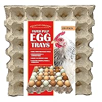 Paper Pulp Egg Trays - 20 Pack