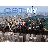 CSI: NY, Season 05