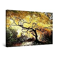 Startonight Canvas Wall Art - Canadian Maple, Trees Forest Nature Landscape Picture for Living Room Photo Large Framed 32 x 48 Inches