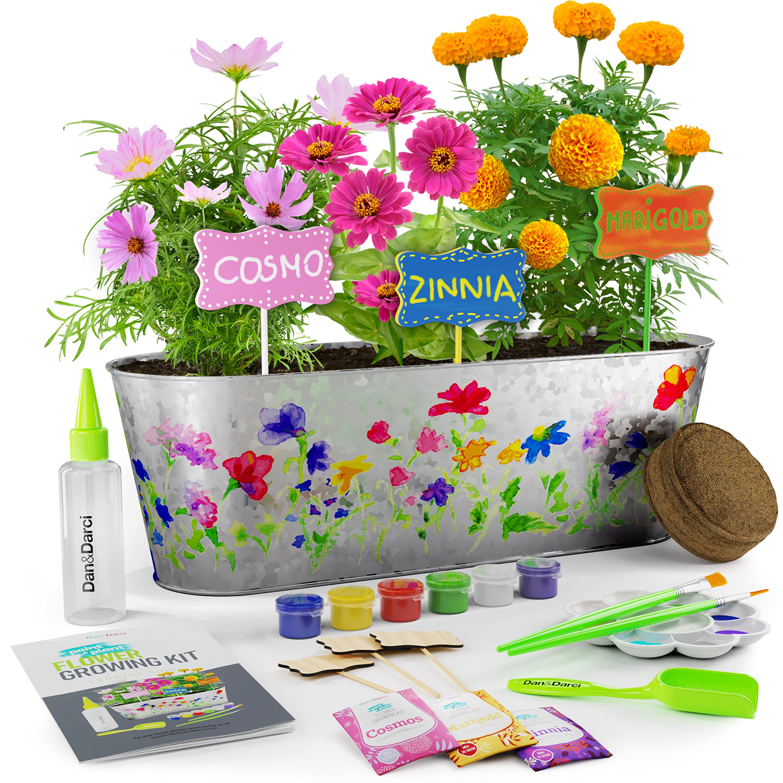 Dan&Darci Paint & Plant Flower Craft Kit for Kids - Best Birthday Crafts Gifts for Girls & Boys Age 5 6 7 8-12 Year Old Girl Gift - Children Gardening Kits, Art Projects Toys for Ages 5-12 Years