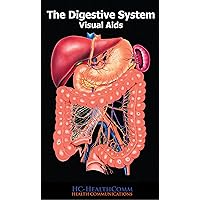 Digestive System, Visual Aids: Full Illustrated