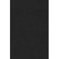 Holy Bible: King James Version, Black, UltraSlim Holy Bible: King James Version, Black, UltraSlim Hardcover Paperback