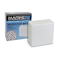 Block Bio-Filter Media for Marine and Freshwater Aquariums, 8 by 8 by 4-Inch
