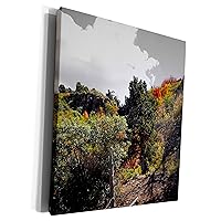 3dRose Autumn on the Mountain off a backroad in PV with... - Museum Grade Canvas Wrap (cw_318901_1)