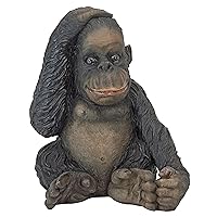 Design Toscano JQ3551 Curly The Chimpanzee of The Jungle Funny Monkey Statue, One Size, Full Color
