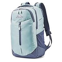 High Sierra Swerve Pro Backpack with Laptop Pocket and Tablet Sleeve, Blue/Gray