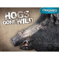 Hogs Gone Wild Season 1