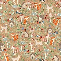 Jillson Roberts 6-Roll Count Baby Gift Wrap Available in 5 Different Designs, Krafty Fox